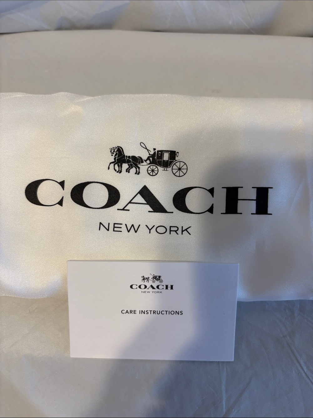 Coach Lyla Crossbody Bag NWT - Picture 14 of 16